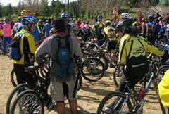 El Parlamento andaluz apoya el Pacto Andaluz por la Bicicleta.