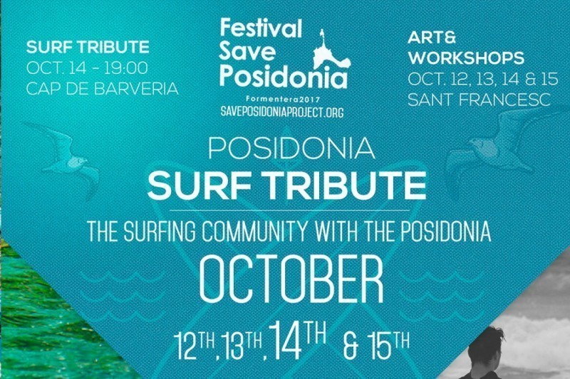 Festival Save Posidonia: un proyecto medioambiental