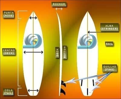 ▷ Partes de una tabla de surf: distínguelas