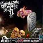 XX AGROSKATE Bowl Fest 2010