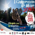 Campeonato de bowl en el skatepark del cerro de Gijón 2012