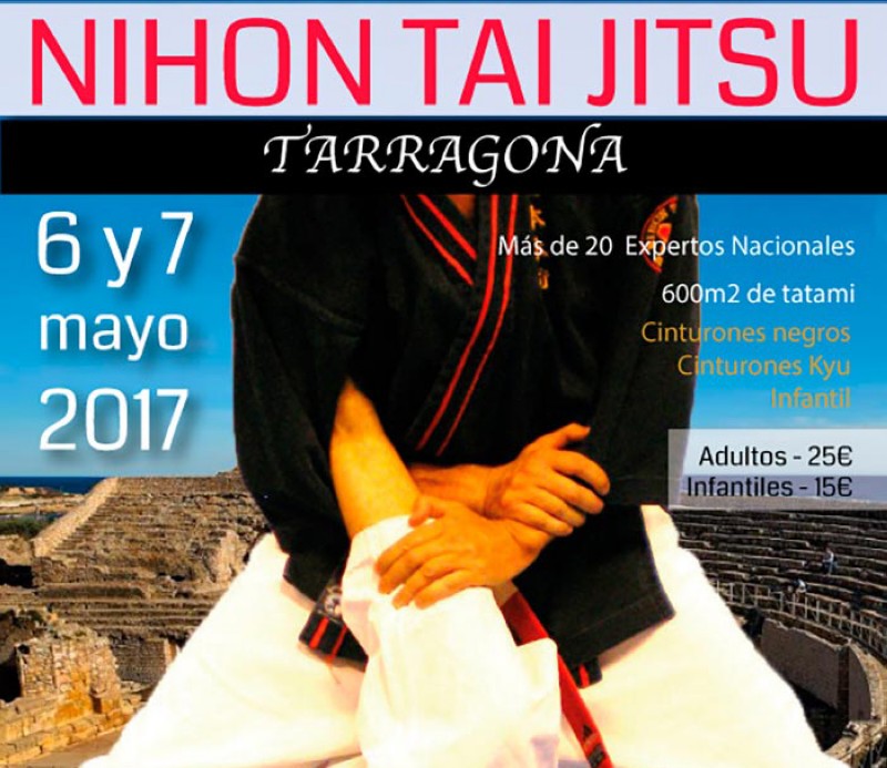 40 aniversario de Nihon Tai jitsu en Espaa