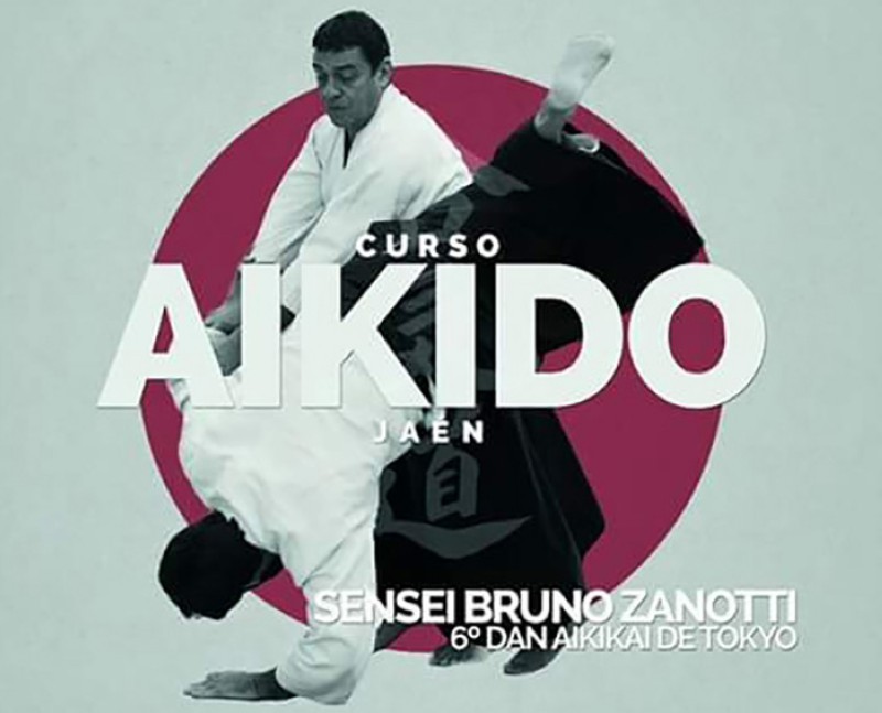 Curso de Aikido en Jan