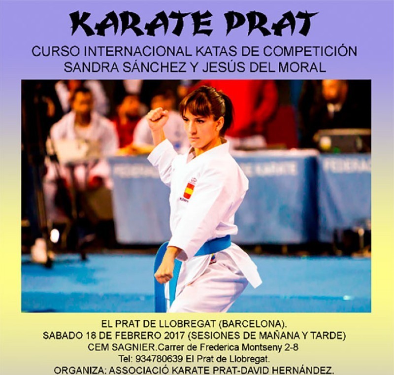 Curso deportivo de alta competicin de Karate