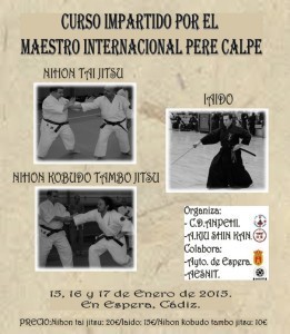 Curso de Nihon Tai-Jitsu/Kobudo y Iaido en Cádiz