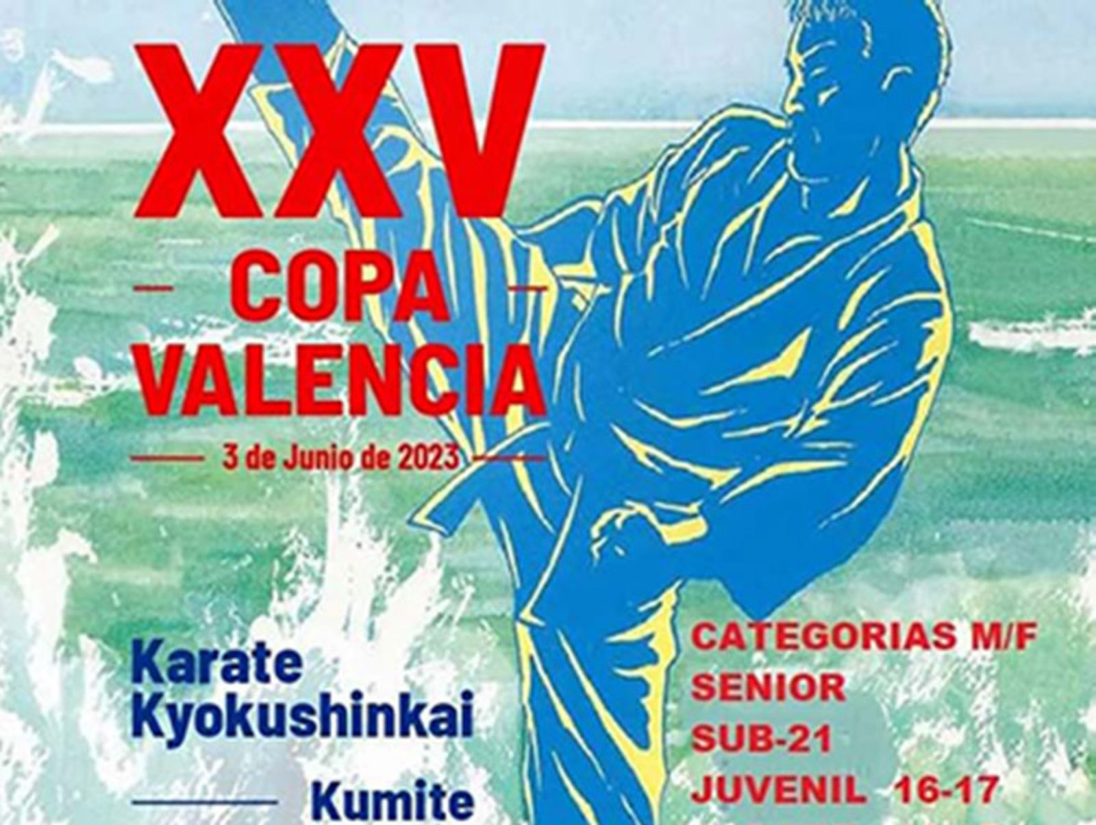 La Copa Valencia Karate Kyokushinkai