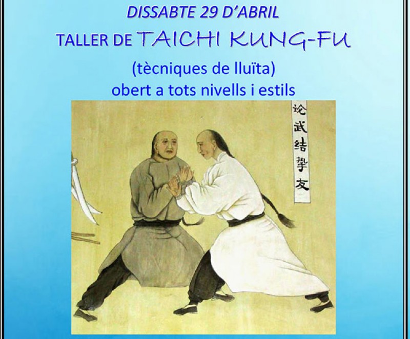Taller de Taichi Kung-fu (tcnicas de lucha)