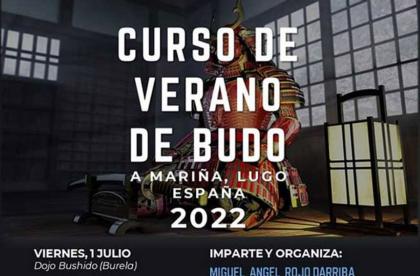 Curso internacional de Budo en Lugo