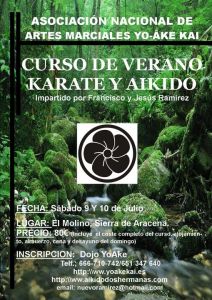 Curso de verano de Karate y Aikido