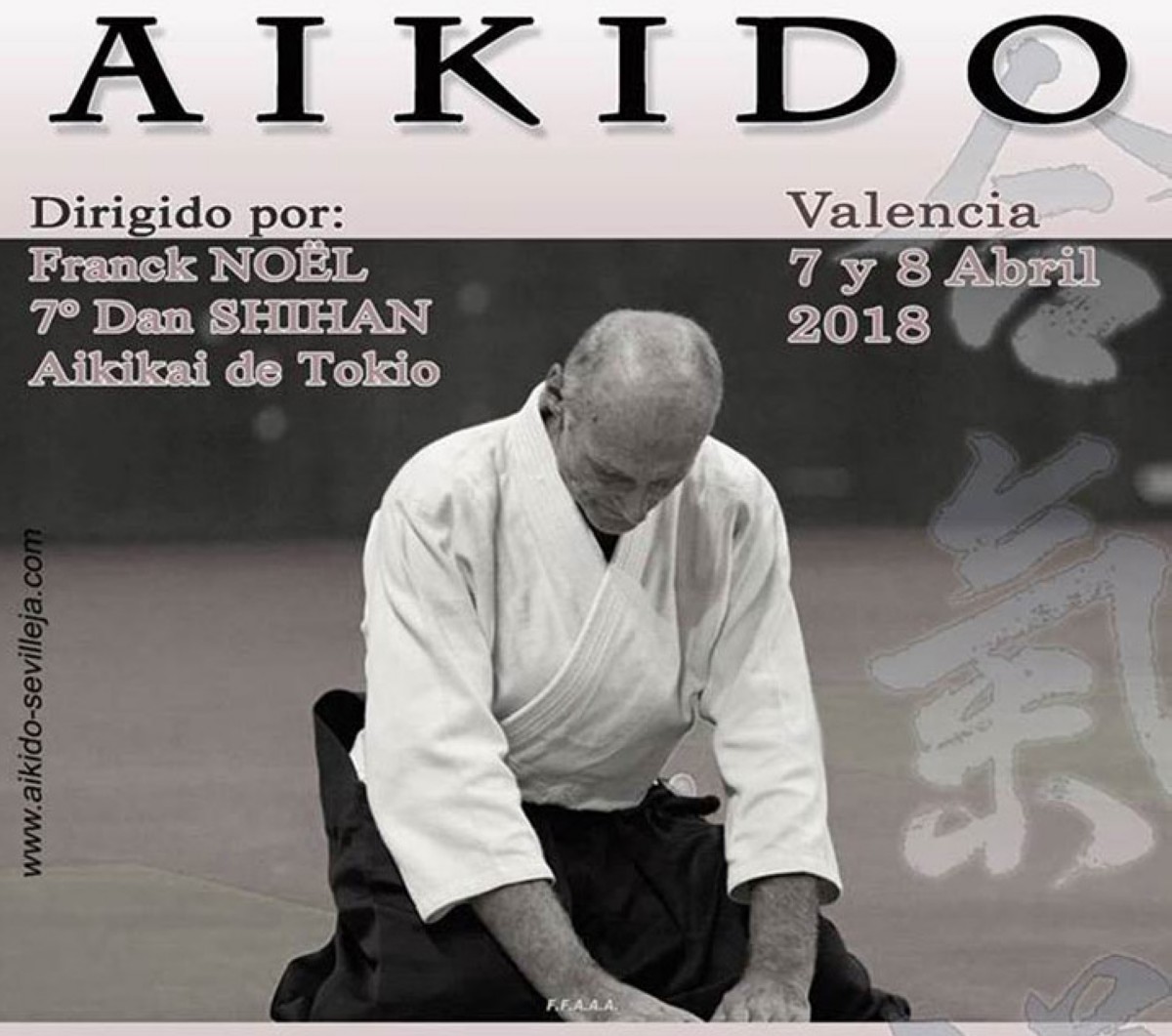 Aikido con Franck Noël en Valencia