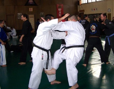 Curso Multidisciplinar de Kenpo y Tai Jitsu