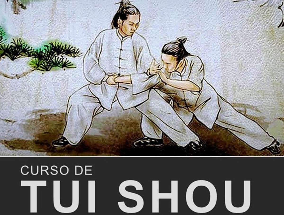 Curso de Tui Shou en San Ciprián (Cervo, Lugo)