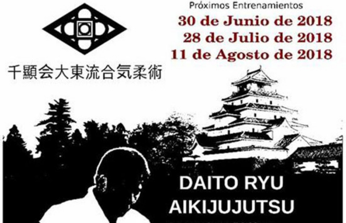Daito Ryu Aikijujutsu