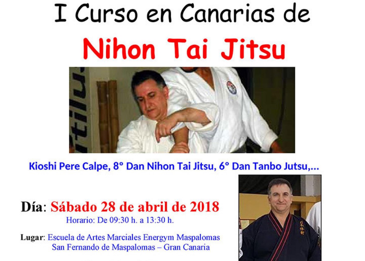 I Curso en Canarias de Nihon Tai Jitsu