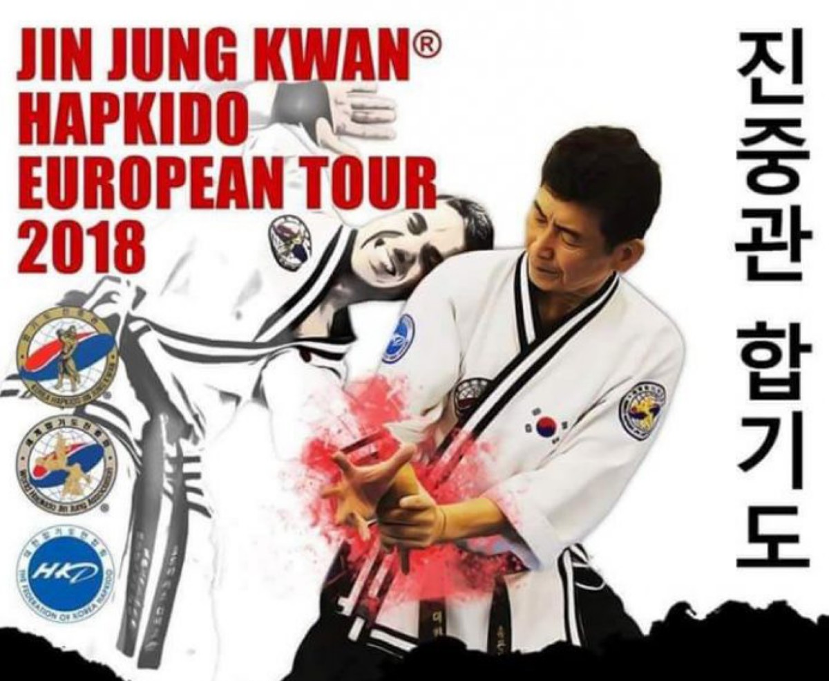 Jin Jung Kwan Hapkido en Barcelona