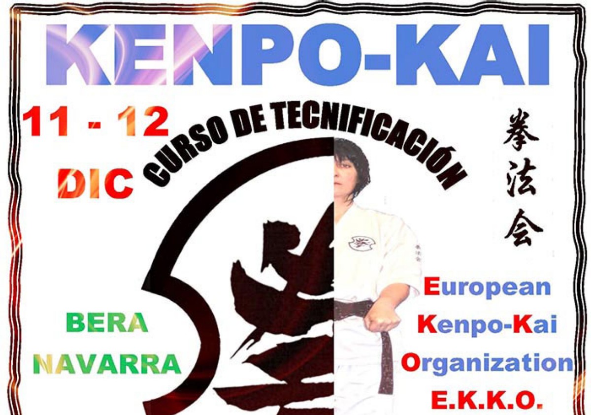 Kenpo-Kai: curso de tecnificacíon