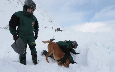 Prácticas de rescate de avalanchas en Aramón