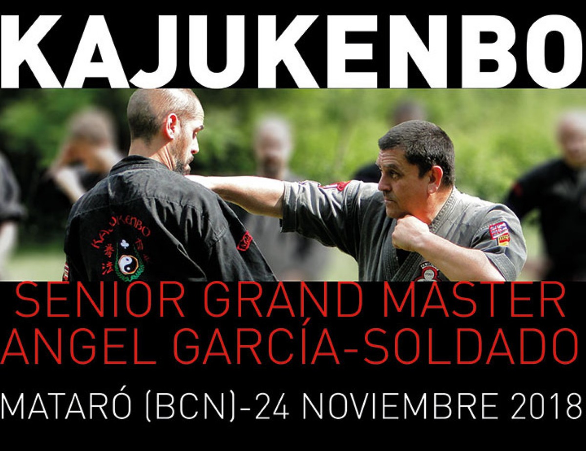 Seminario Kajukenbo. SGM Angel García-Soldado en Barcelona