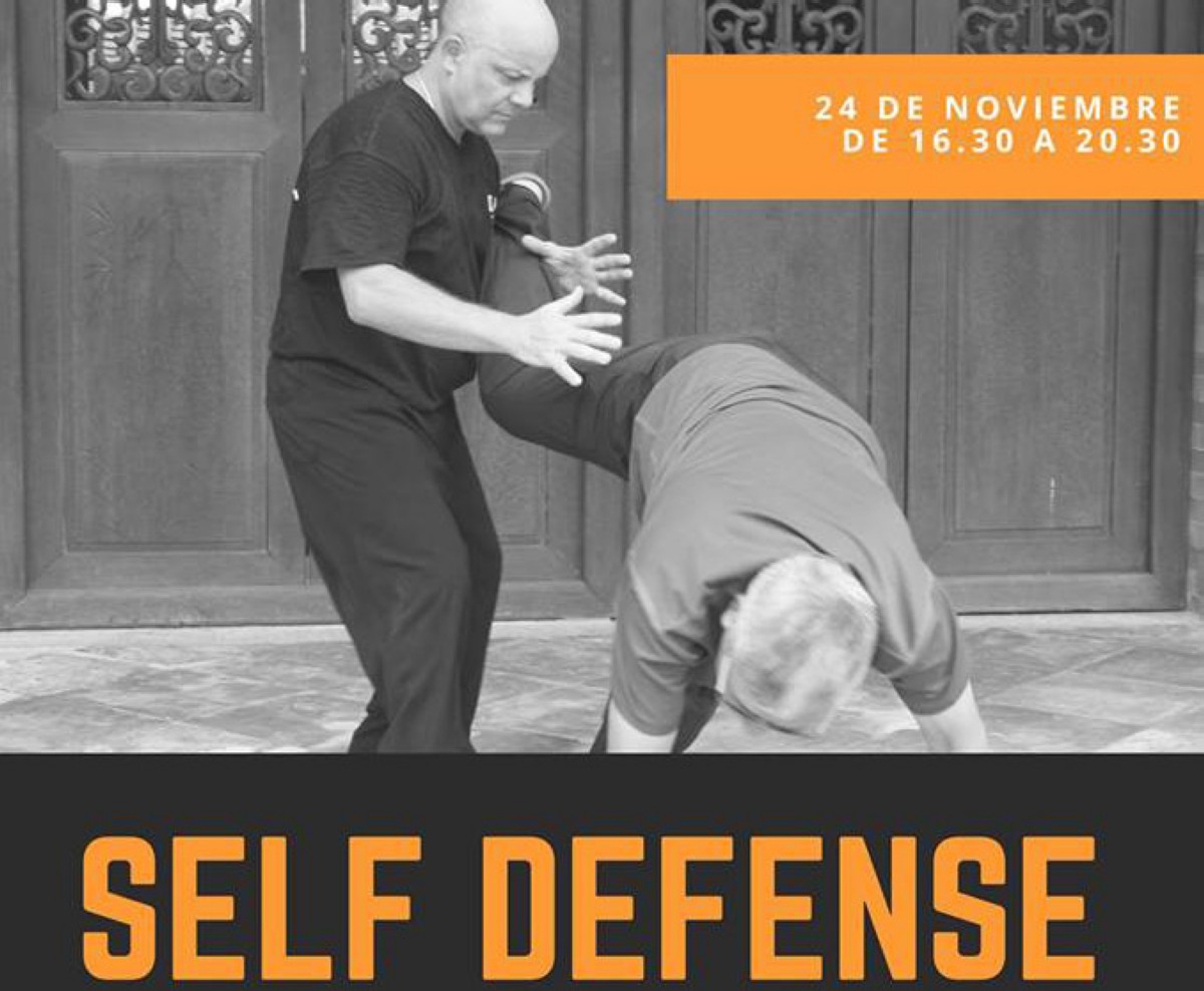 Seminario Qin Na 3 self Defense