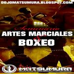 Seminario de Artes Marciales y Boxeo