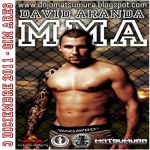 Seminario de MMA impartido por David Aranda