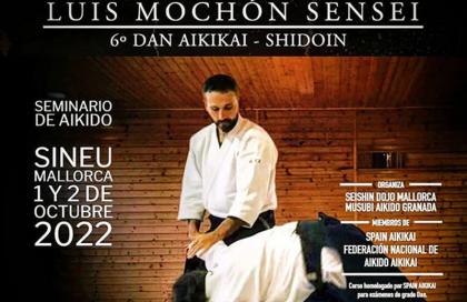 Seminario Internacional de Aikido con Luis Mochón Sensei en Mallorca