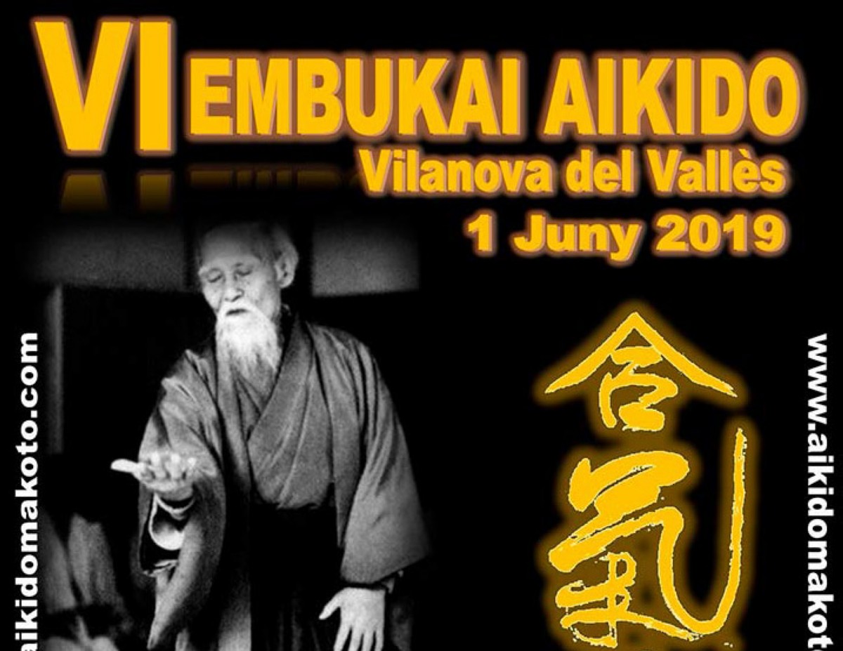 VI Embukai de Aikido en Vilanova del Vallès