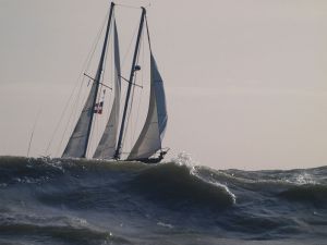 El Niob Sexto Cheyenne roza el triunfo en el Grand Prix del Atl&aacute;ntico