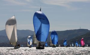 Gaitero, As de Gu&iacute;a y Notorius inician con victoria el Trofeo Primavera&nbsp;&nbsp;&nbsp;