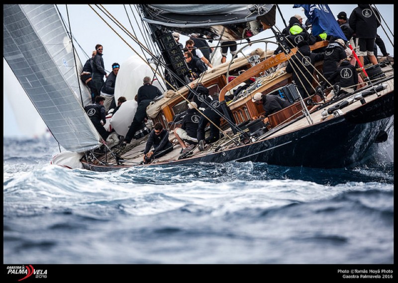 El Lionheart primer lider de la Gaastra PalmaVela 2016 