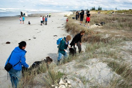La limpieza de una de las playas de Nueva Zelanda 