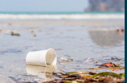 Seminario sobre la contaminación por plásticos en los océanos