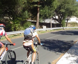 Comunicado Conbici en recuerdo de las víctimas de tráfico