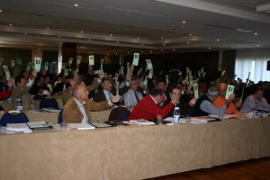 Vacas flacas en la RFEC