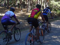 La bicicleta protagoniza dos fines de semana en Coslada