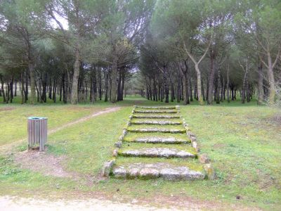 El Nacional de ciclocross de Zamora, en el Parque de Valorio