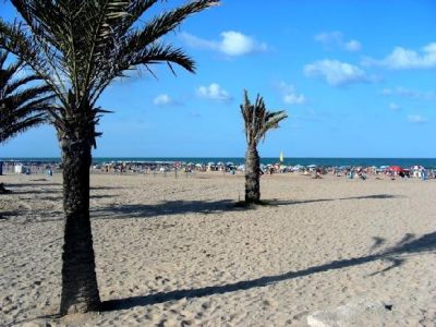 Gandia organizará los campeonatos de España