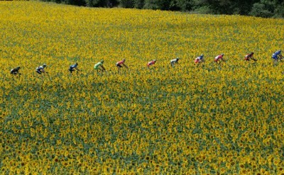 Clasificaciones Tour de Francia - Etapa 16