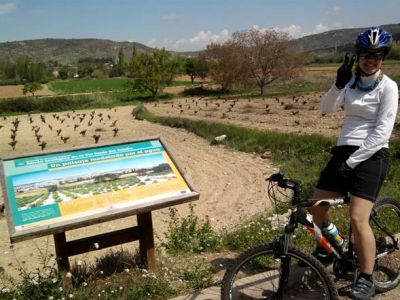 Dos nuevos proyectos de bicicleta pública en Madrid