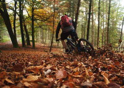 Cubiertas Schwalbe para otoño