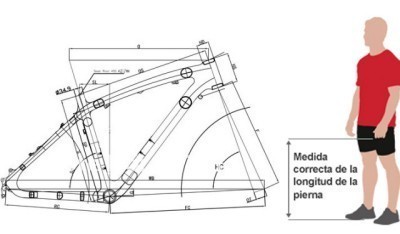 Cómo acertar al escoger la talla de tu bicicleta
