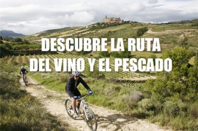 Descubre la ruta del Vino y el Pescado