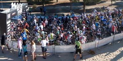 Detalles de última hora de la Ruta de los Vinos