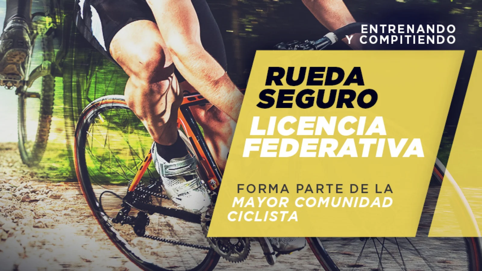 Diferencias entre licencia y carnet ciclista. ¿Te vas a federar en 2024?