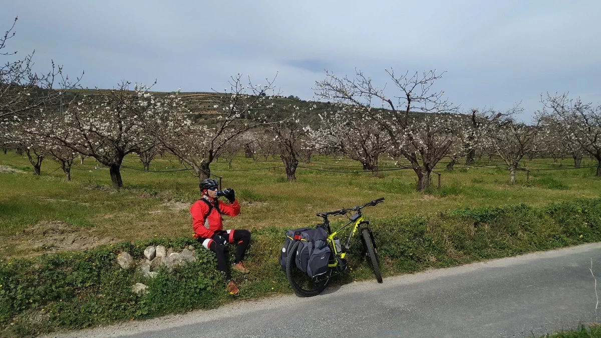 El Consorcio de las Vías Verdes de Girona cambia la ubicación de sus oficinas