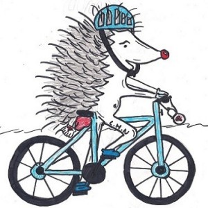 El Maraton Bike preregrino 2014 por la ruta olvidada