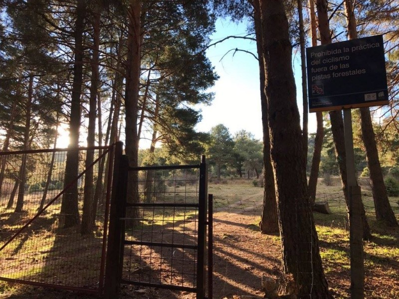 Escrito reflexión sobre la prohibición del MTB en la Sierra madrileña