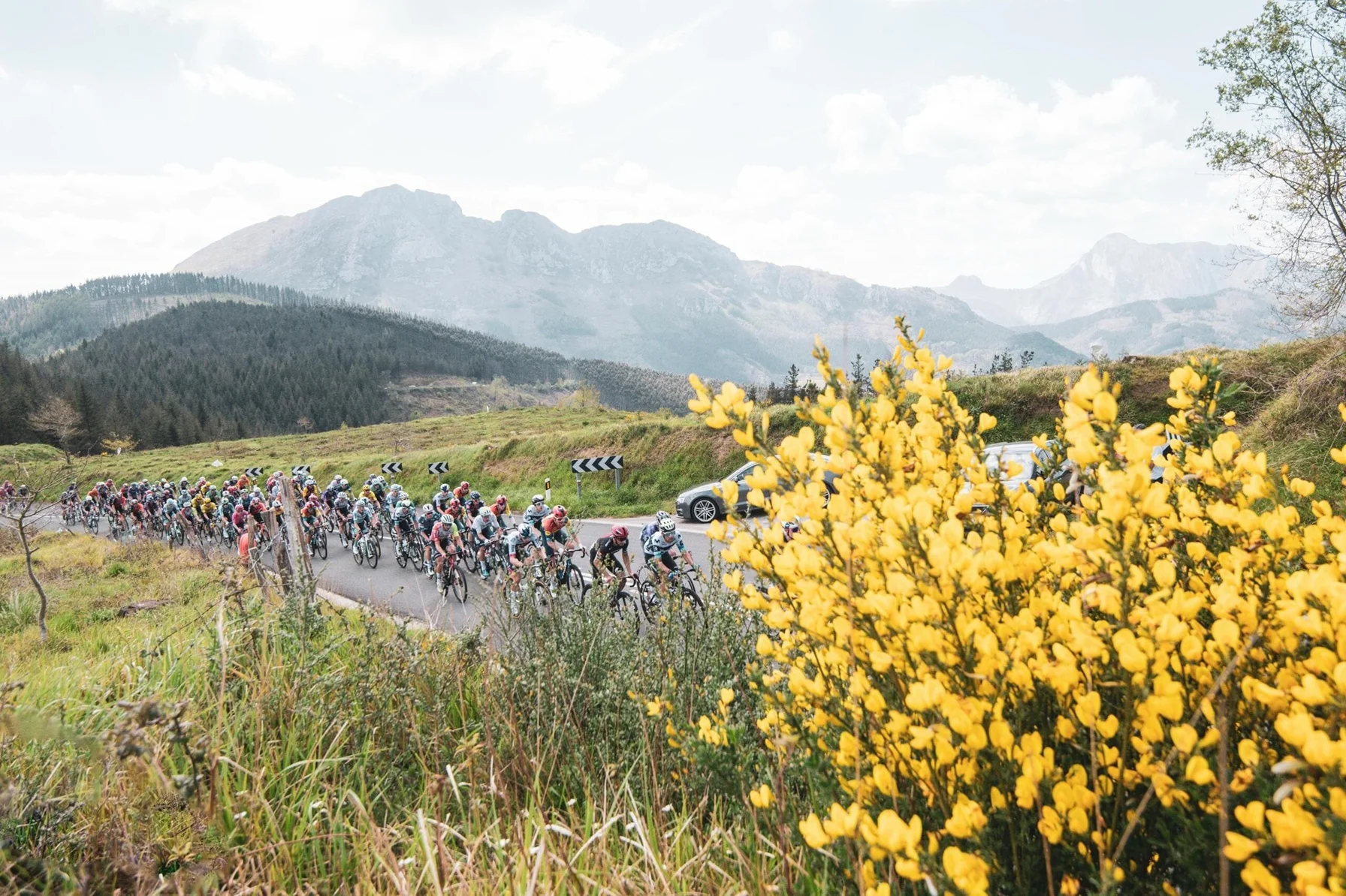 Fechas Confirmadas para la Itzulia Basque Country, Itzulia Women y Clásica San Sebastián 2026 Fechas Confirmadas para la Itzulia Basque Country, Itzulia Women y Clásica San Sebastián 2026