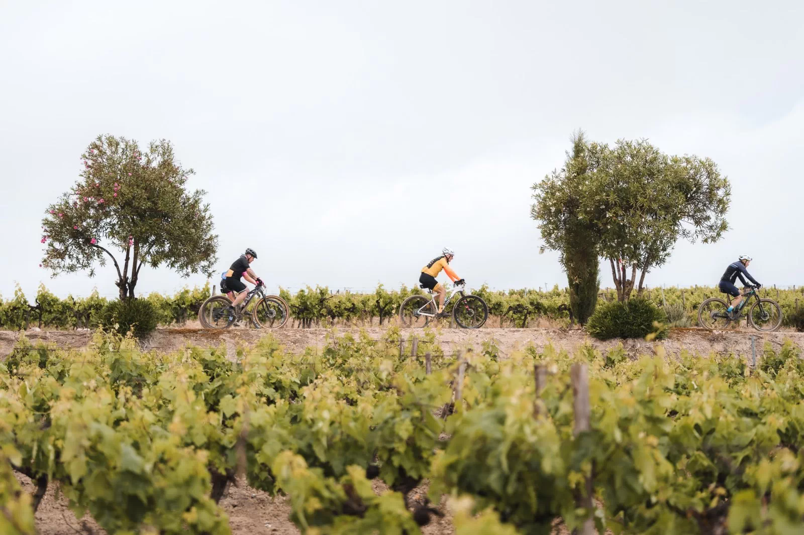 Fernando Martínez y María Luisa Cuenco se imponen en la tercera edición de Sherry Bike en Jerez de la Frontera