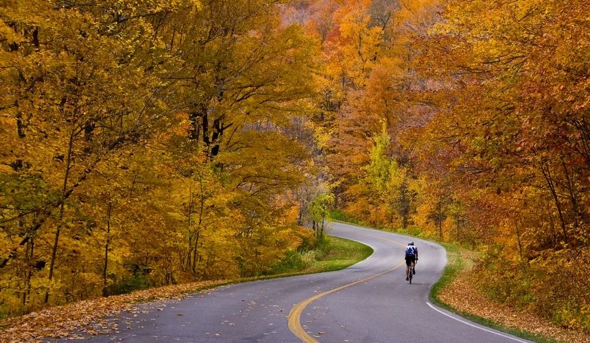 Guía Definitiva: Equipamiento Esencial para el Ciclismo en Otoño